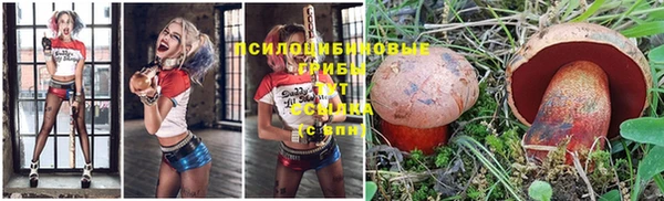 молекула духа Михайловка