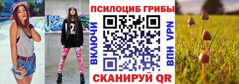 Купить где  Кинель  Галлюциногенные грибы ЛСД 